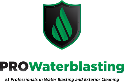 Pro Waterblasting